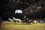 Extreme - 00864